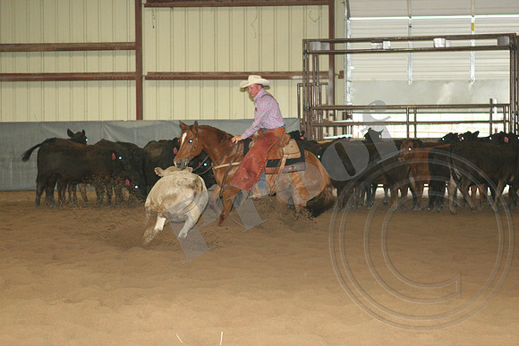 545_IMG_4508.JPG