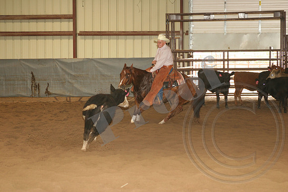 545_IMG_4576.JPG
