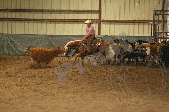 547_IMG_4734.JPG