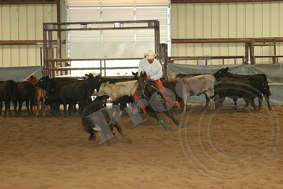 546_IMG_4635.JPG