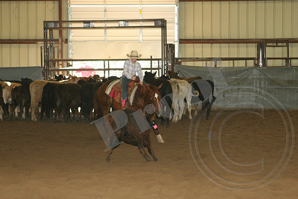 550_IMG_5016.JPG