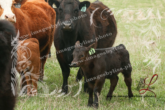 HannahChayce_0160_2025