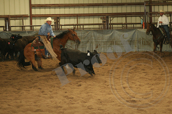 547_IMG_4713.JPG