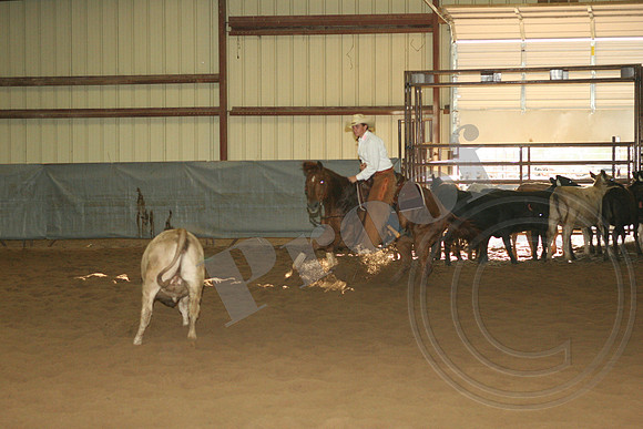 550_IMG_5066_$10,000Amateur.JPG