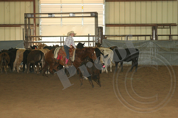 550_IMG_5010.JPG