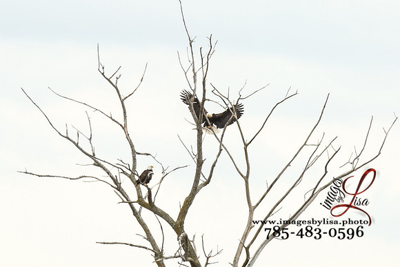 HannahChayce_0298_2025