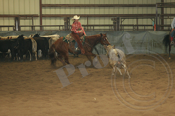 549_IMG_4908.JPG