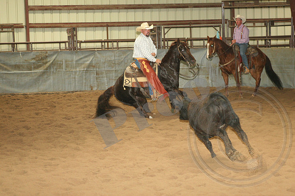 546_IMG_4630.JPG