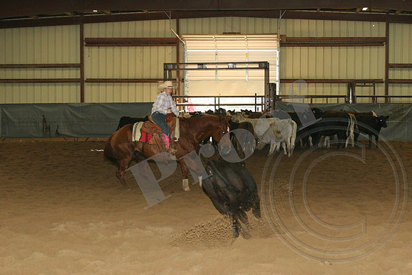 550_IMG_5020.JPG