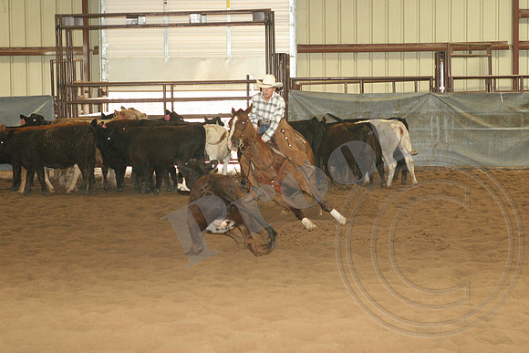 546_IMG_4696.JPG