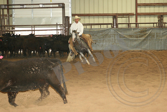 544_IMG_4484.JPG