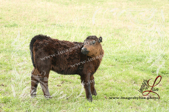 HannahChayce_0169_2025