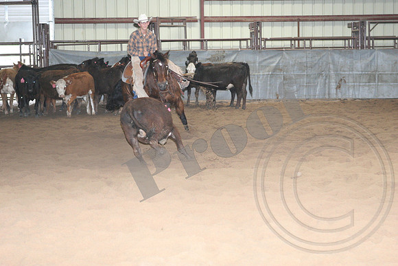 544_IMG_4439.JPG