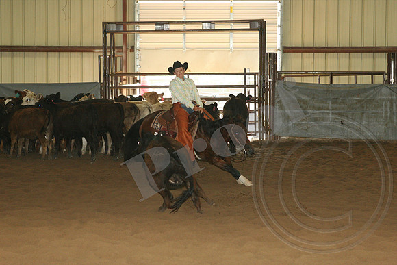 550_IMG_5007.JPG
