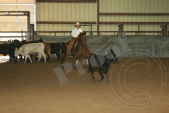 550_IMG_5071_$10,000Amateur.JPG