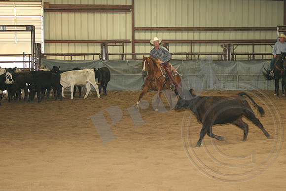 548_IMG_4867.JPG