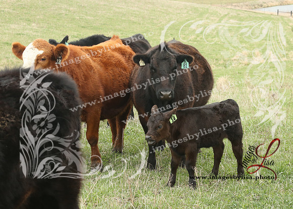 HannahChayce_0173_2025