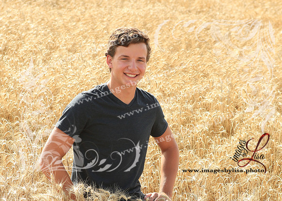 Alex_4441_2019