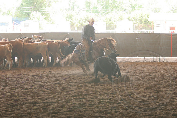 697_IMG_9734_2009.JPG