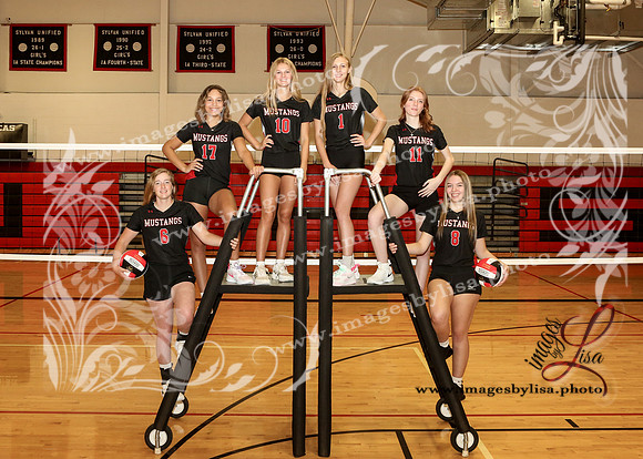 SylvanVB_Seniors_8323_2024