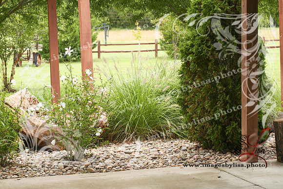 HannahChayce_2345_2025