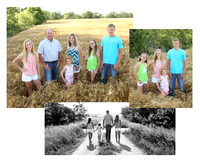 Brummer Collages