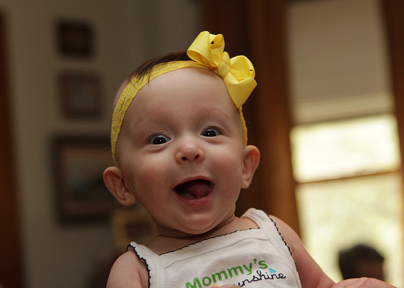 Willa_5517_2012