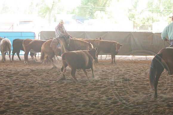 699_IMG_9901_2009.JPG