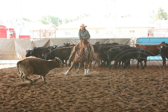 693_IMG_9389_2009.JPG