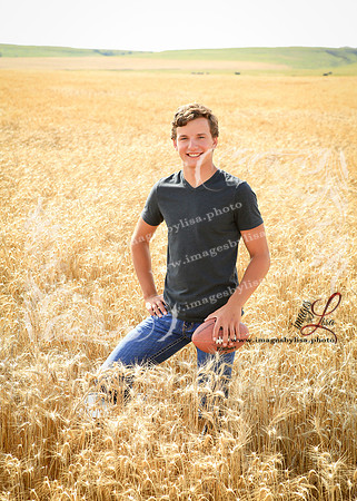 Alex_4479_2019
