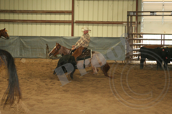547_IMG_4754.JPG