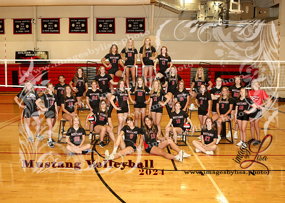 SylvanVB_Team_8306_2024