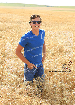 Alex_4422_2019