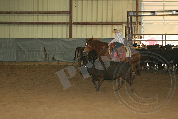 550_IMG_5017.JPG