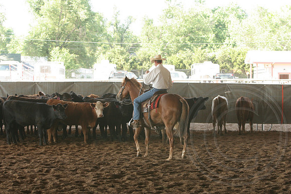 693_IMG_9374_2009.JPG