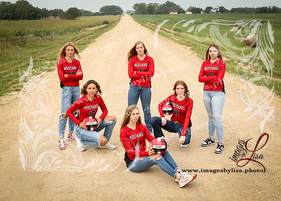 SylvanVB_Seniors_8271_2024