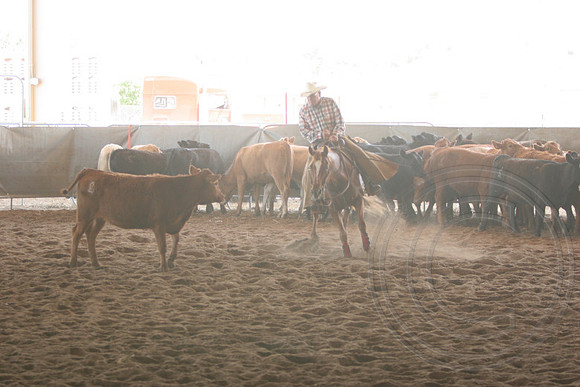 698_IMG_9900_2009.JPG