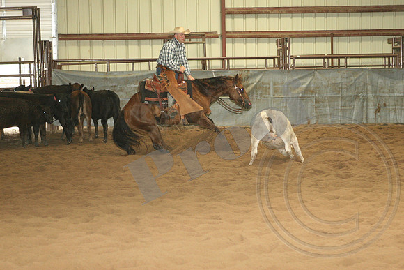 546_IMG_4622.JPG