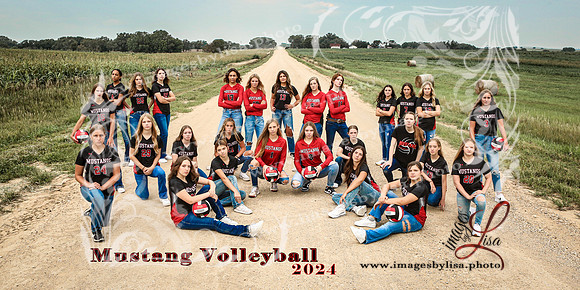 SylvanVB_Team_8250_2024