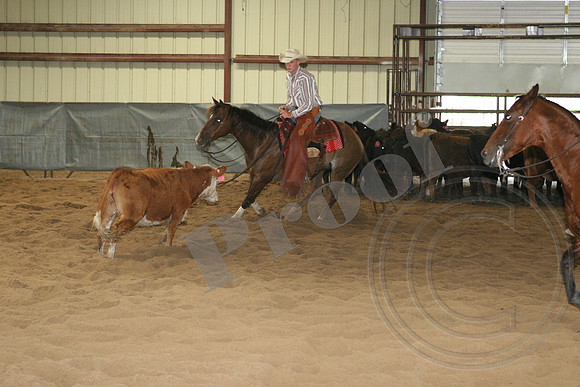 544_IMG_4435.JPG