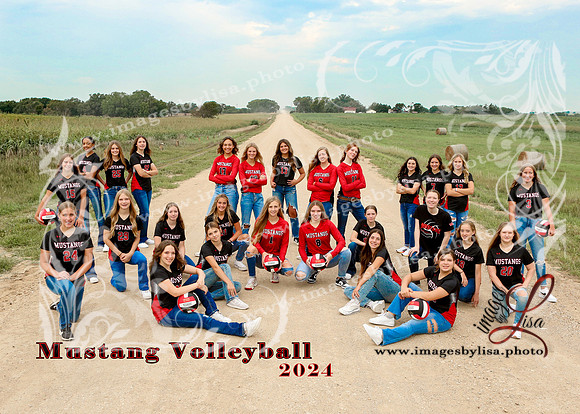 SylvanVB_Team_8254_2024