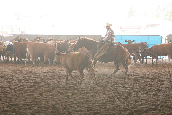 699_IMG_9902_2009.JPG