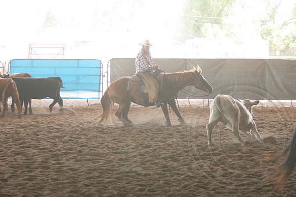 698_IMG_9887_2009.JPG