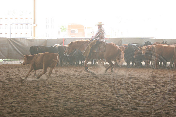 698_IMG_9896_2009.JPG