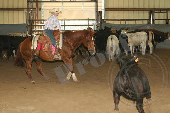550_IMG_5018.JPG