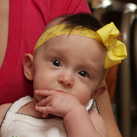 Willa_5592_2012