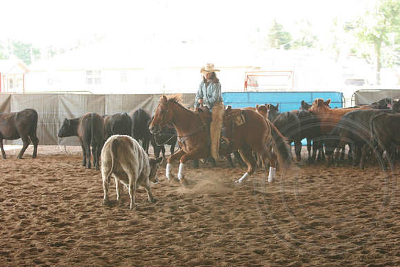 693_IMG_9385_2009.JPG