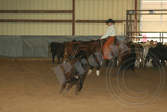 550_IMG_5006.JPG