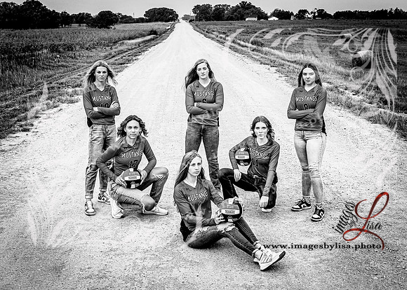 SylvanVB_Seniors_8271_2024-2
