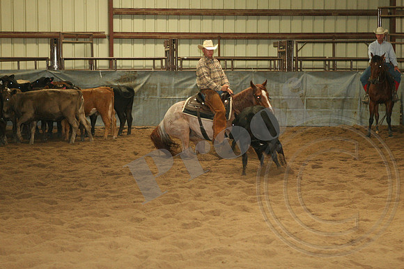 547_IMG_4750.JPG